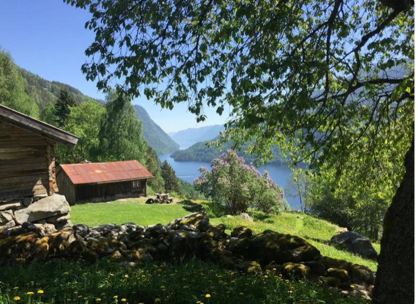 Dalen I Telemark Holiday Home With Garden Dış mekan fotoğraf