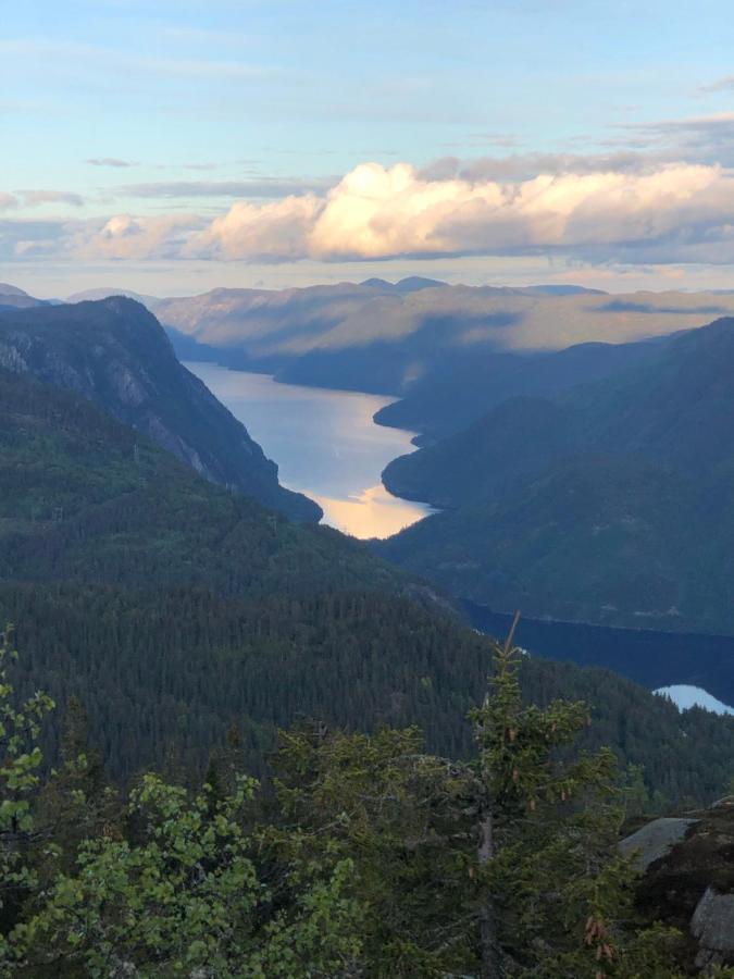 Dalen I Telemark Holiday Home With Garden Dış mekan fotoğraf