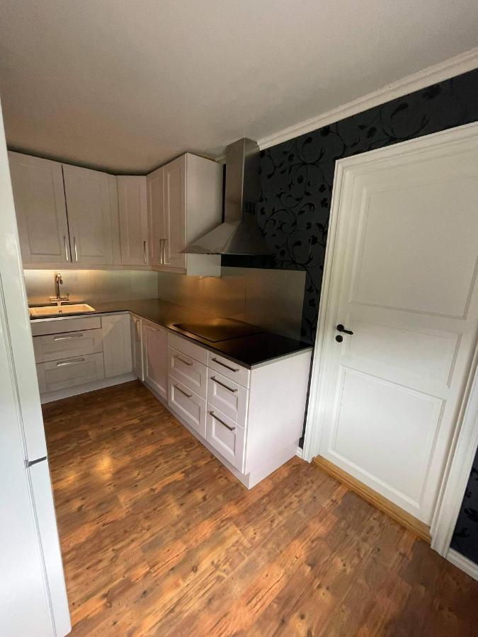 Dalen I Telemark Holiday Home With Garden Dış mekan fotoğraf